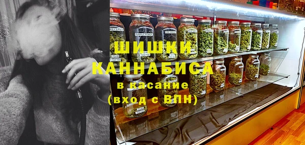 крисы Армянск