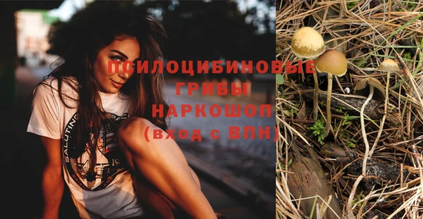 каннабис Аркадак
