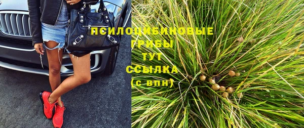 спайс Баксан