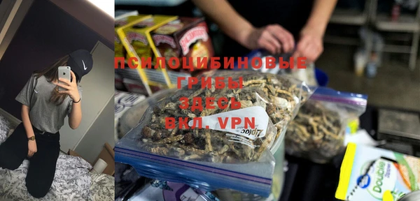 крисы Арсеньев